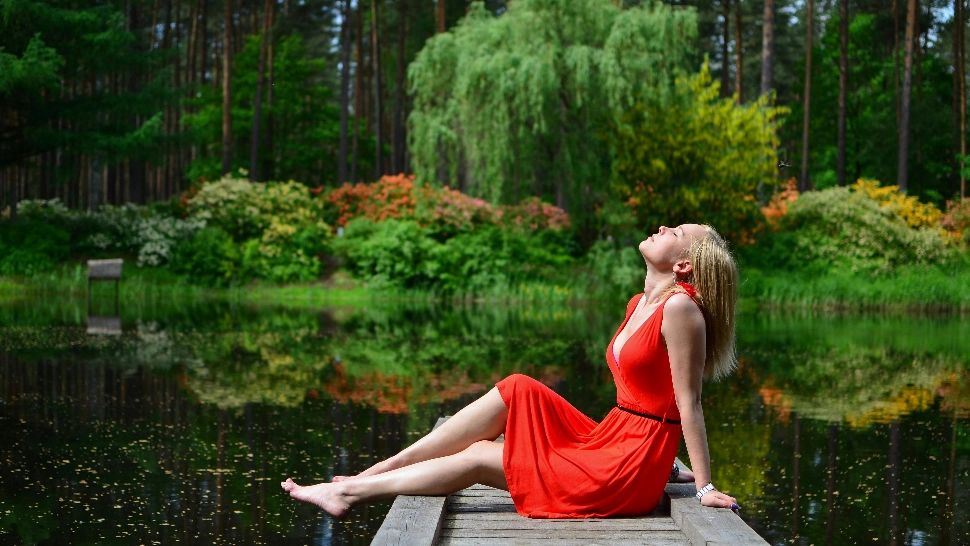 Copacul care îți alungă durerea de cap. 3 plante care înlocuiesc aspirina. Te scapă de inflamații și dureri