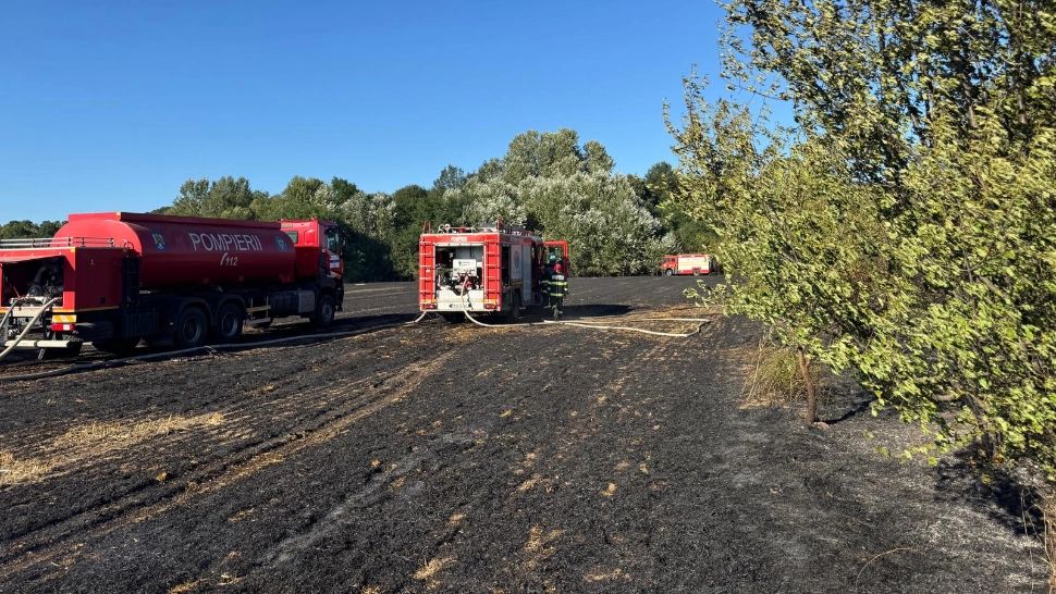Incendiu devastator într-un sat de lângă București. Ard șapte hectare de vegetație. O casă a fost cuprinsă de flăcări. Nu sunt victime FOTO/VIDEO