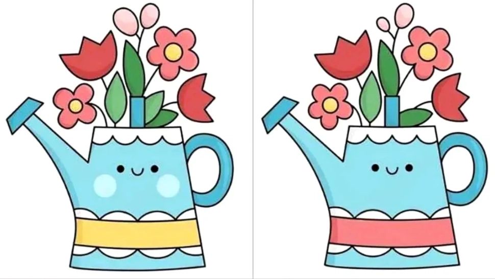 Test IQ de weekend: poți găsi cele 5 diferențe în mai puțin de 23 de secunde?