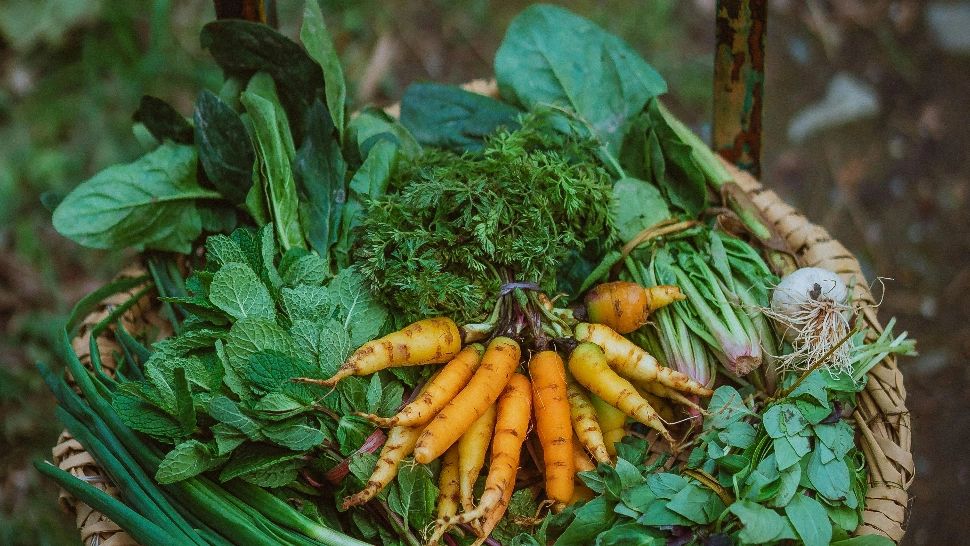 Verdețurile se mențin proaspete multă vreme dacă recurgi la aceste trucuri