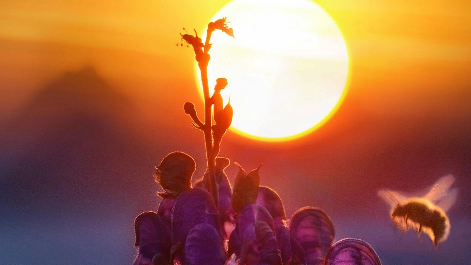 Cum va fi vremea în următoarele 4 săptămâni, în România. Temperaturile se vor situa peste valorile normale în perioada 11 august – 7 septembrie 2025