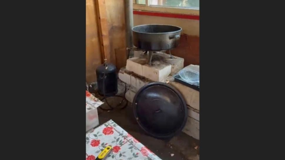 Imagini revoltătoare cu gogoșile vândute pe plajele de pe litoral. Clipul publicat în mediul online stârnește indignare: „Ați încurajat producția și comerțul jegului cu glazură de zahăr!” - VIDEO