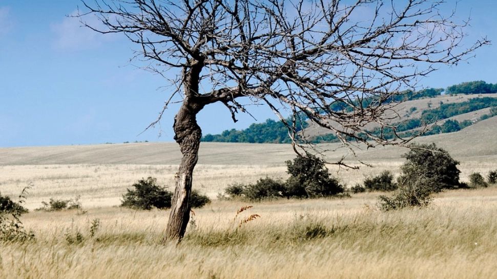Alertă în România! Cea mai cruntă secetă din ultimii ani
