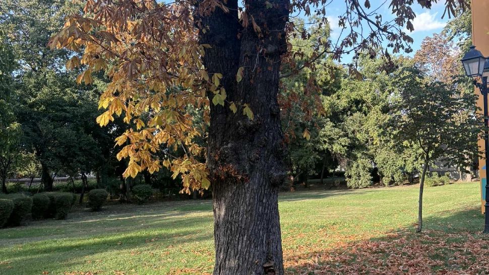 Toamna începe cu valori ridicate în România. Cod galben de caniculă și disconfort termic în mai multe regiuni ale țării