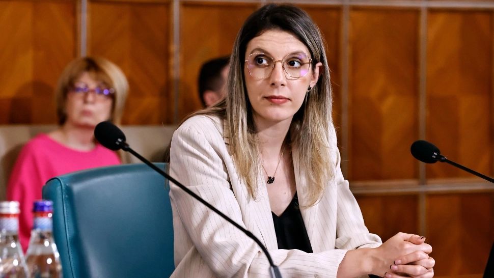 Șefa reziștilor de la Mediu vrea să pună monopol pe Romsilva: noua găselniță a Dianei Buzoianu