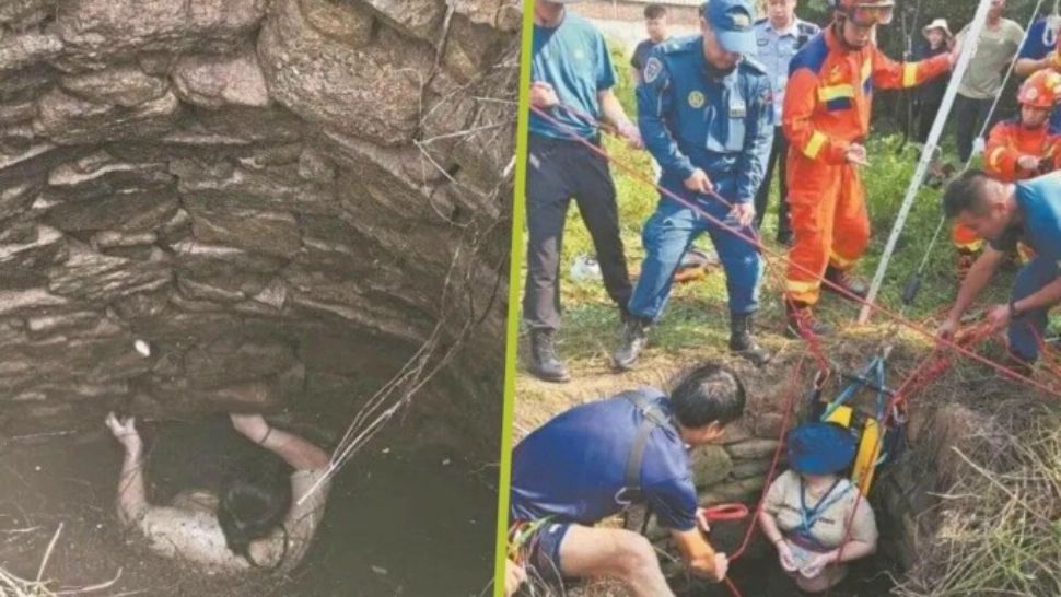 Experiența uimitoare a unei femei de 48 de ani: a supraviețuit 54 de ore într-o fântână plină de șerpi, agățată de pereți