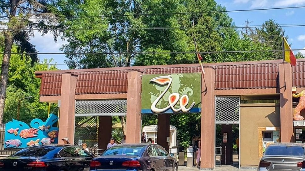 Austeritate a ajuns la Grădina Zoologică Băneasca. Cu cât se scumpesc biletele?