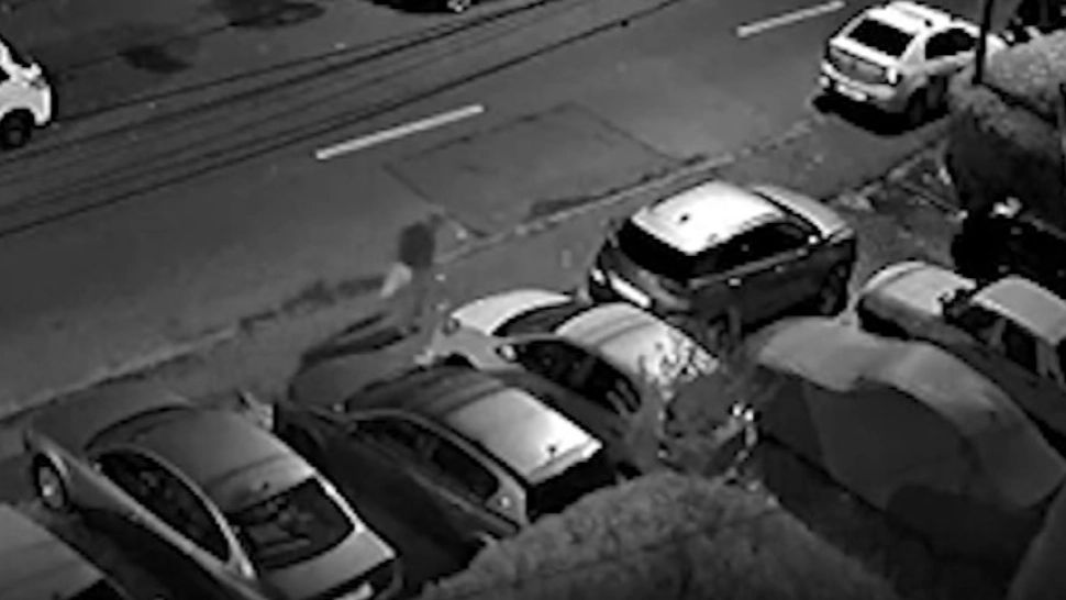 Mașini incendiate intenționat. Anchetă de amploare la Ploiești