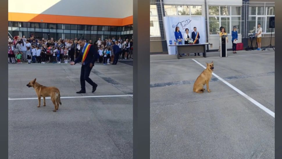 Video. Un cățel s-a prezentat la deschiderea anului școlar. Patrupedul a asistat la ceremonii, dar a fugit de primarul Chirică
