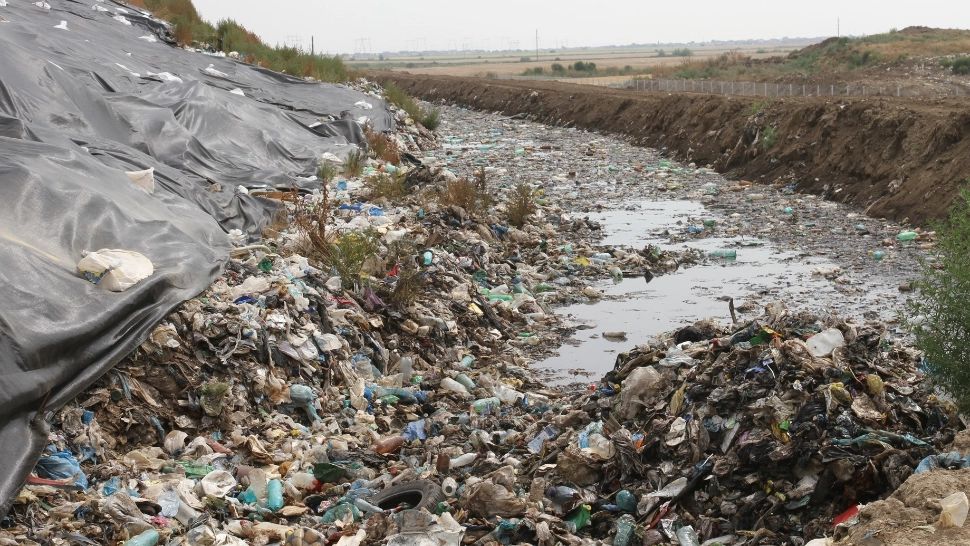 Coșmarul reciclării în Capitală: doar 15% din deșeuri sunt tratate. Garda de Mediu a aplicat amenzi de peste 400.000 de lei