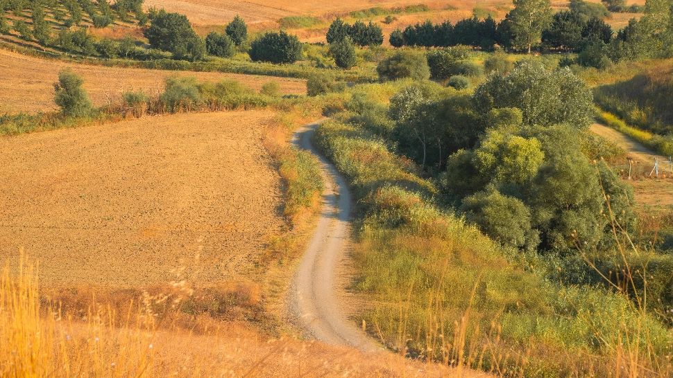Când va avea loc echinocțiul de toamnă și ce se va întâmpla din punct de vedere astral odată cu acest eveniment. Zodiile afectate
