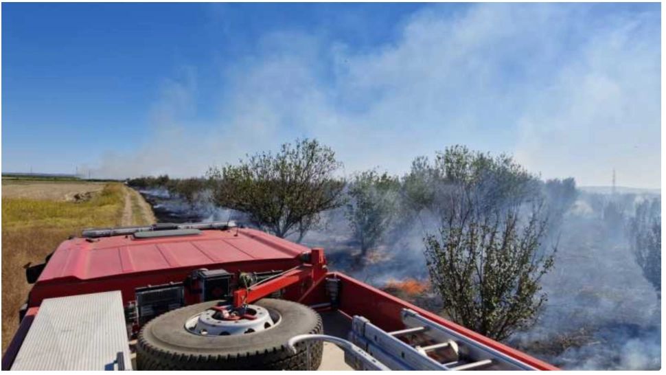 Incendiu de vegetație uscată pe 50 de hectare în Teleorman. Flăcările extins la o livadă și amenință casele din zonă