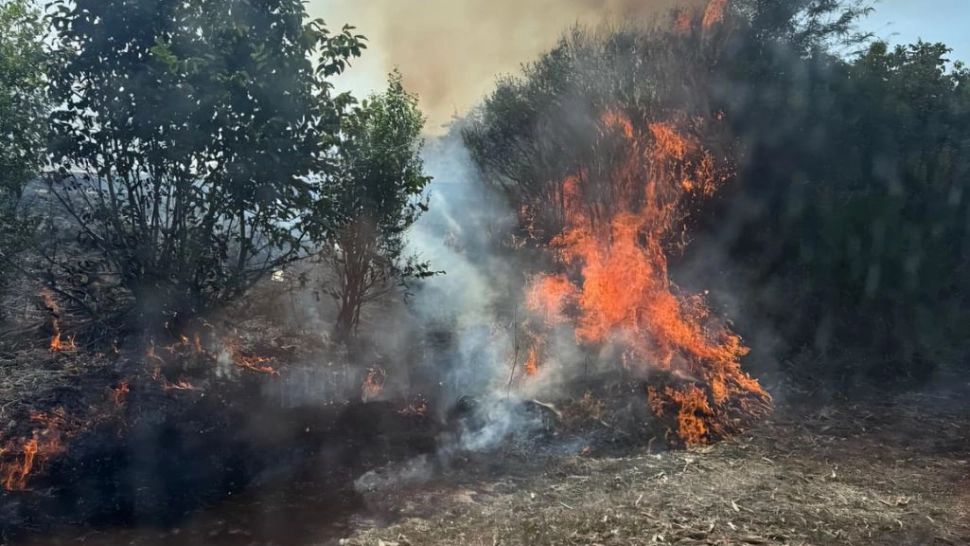 Incendiu de vegetație de proporții în Giurgiu. Opt ore de luptă cu flăcările pentru salvatori