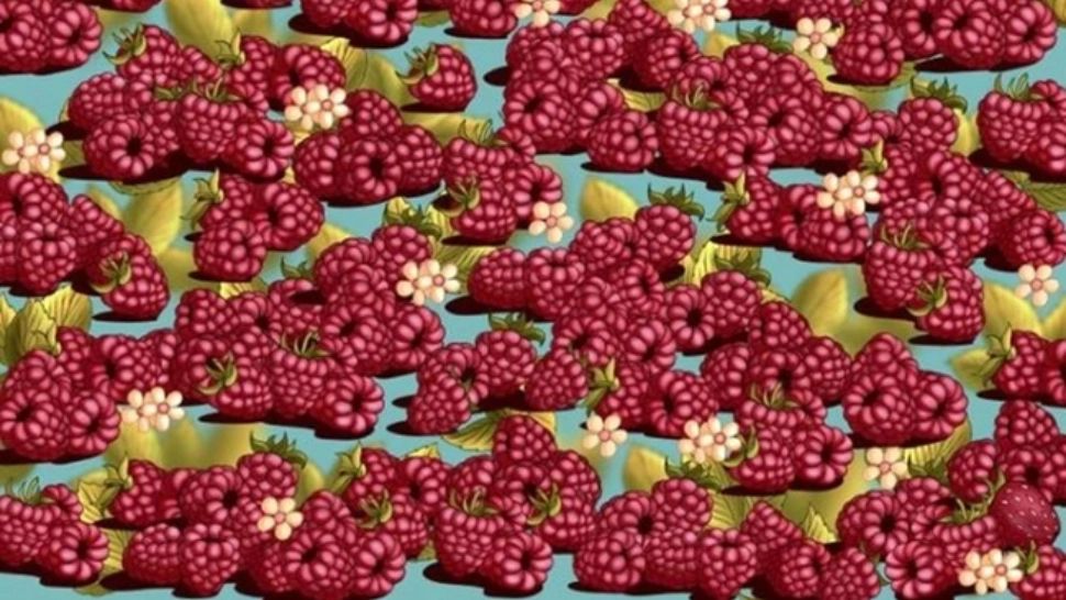 Test IQ dificil: găsești căpșuna ascunsă printre zmeure în doar 12 secunde?