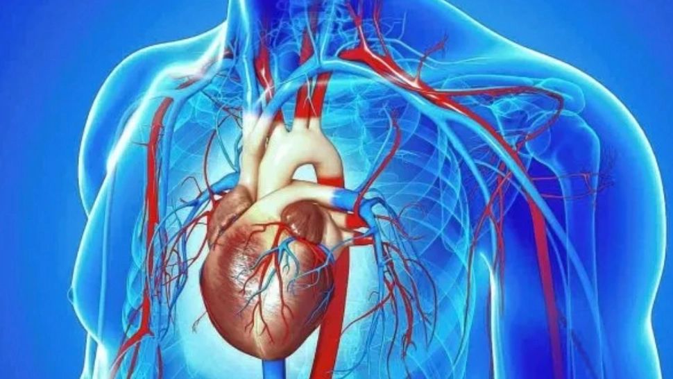 Când circulația sângelui prin inimă este îngreunată