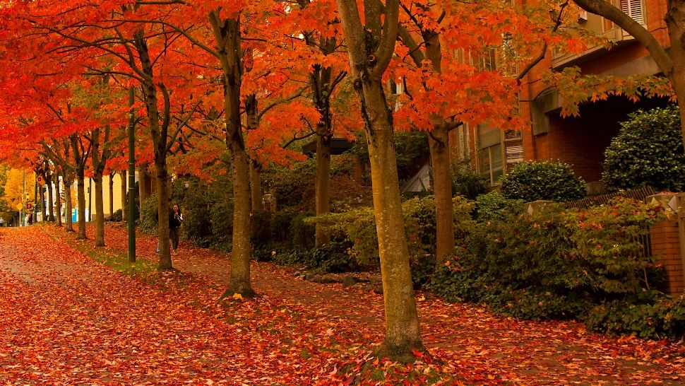 Horoscopul lunii octombrie 2025. O toamnă plină de evenimente pentru câteva zodii