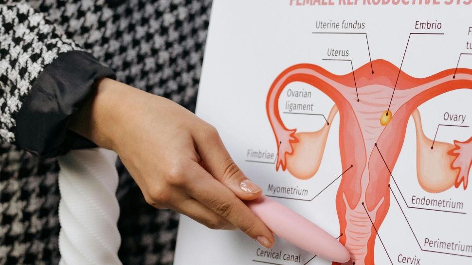 Ce sunt ovarele polichistice? Simptome care trebuie să te trimită urgent la doctor