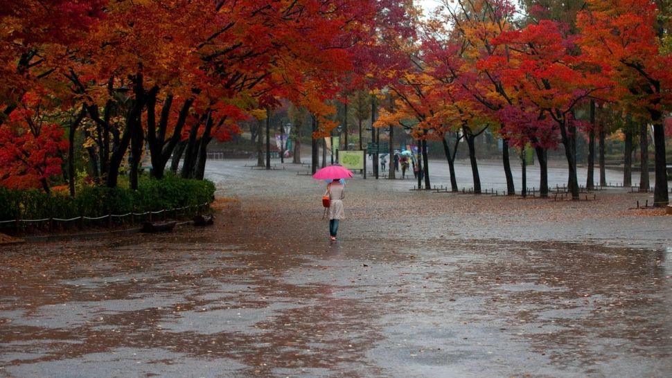 Schimbare radicală a vremii: Temperaturile scad drastic și vin ploile pe arii extinse