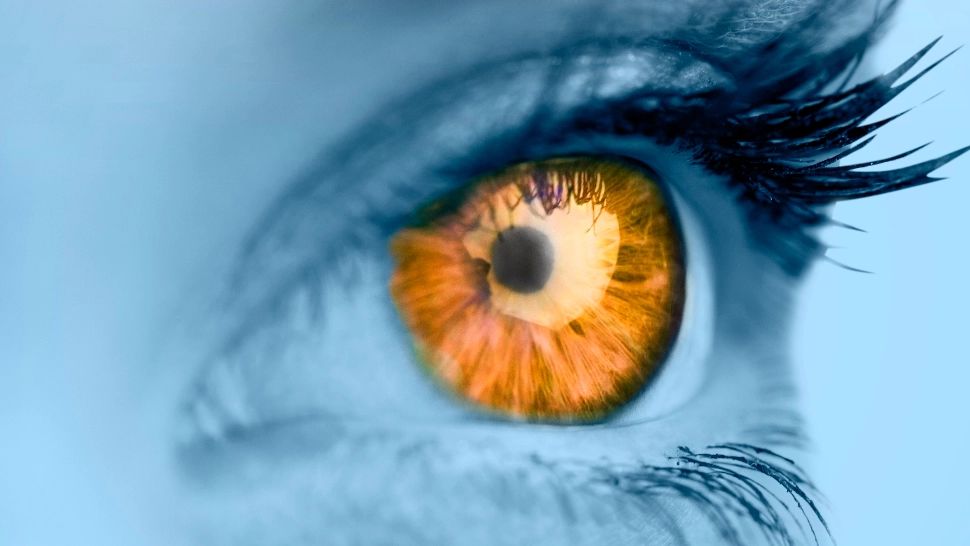 De ce avem ochi diferiți ca nuanță? Cauze medicale și moștenirea genetică