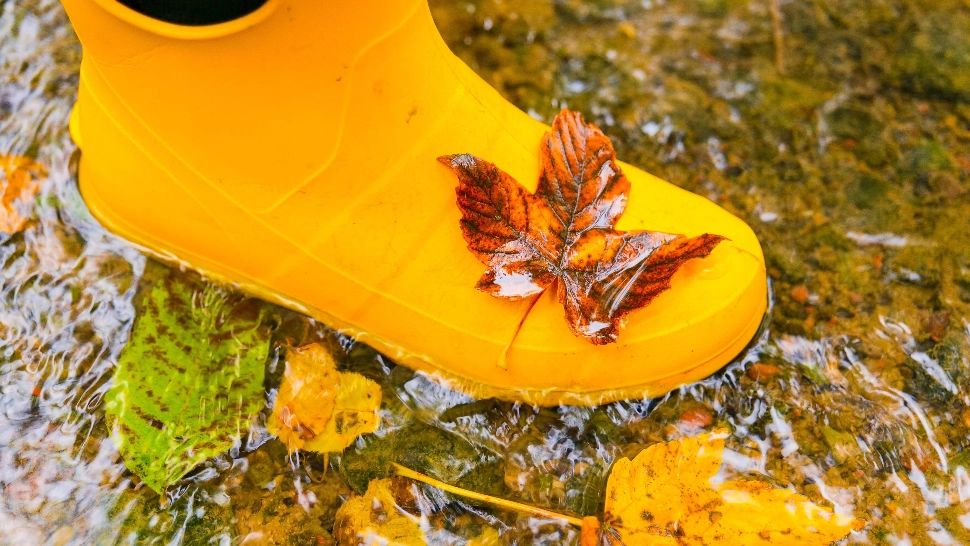 Schimbare bruscă de temperatură: după zilele calde, vremea se răcește și vin ploile. Temperaturi chiar și cu 10 grade mai scăzute 