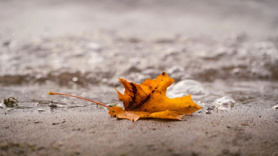 Scad temperaturile în Capitală. Prognoza meteo pentru următoarele zile: maximele nu trec de 19 grade la început de octombrie