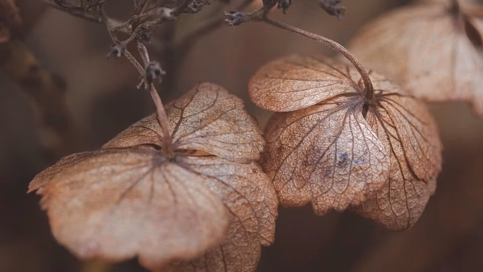 Avertisment de la meteorologi. Un nou val de frig și ploi abundente va afecta România