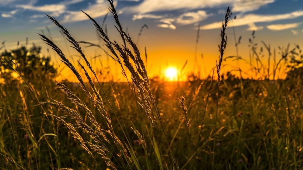 Domul de caniculă lovește România, temperaturi extreme în termometre