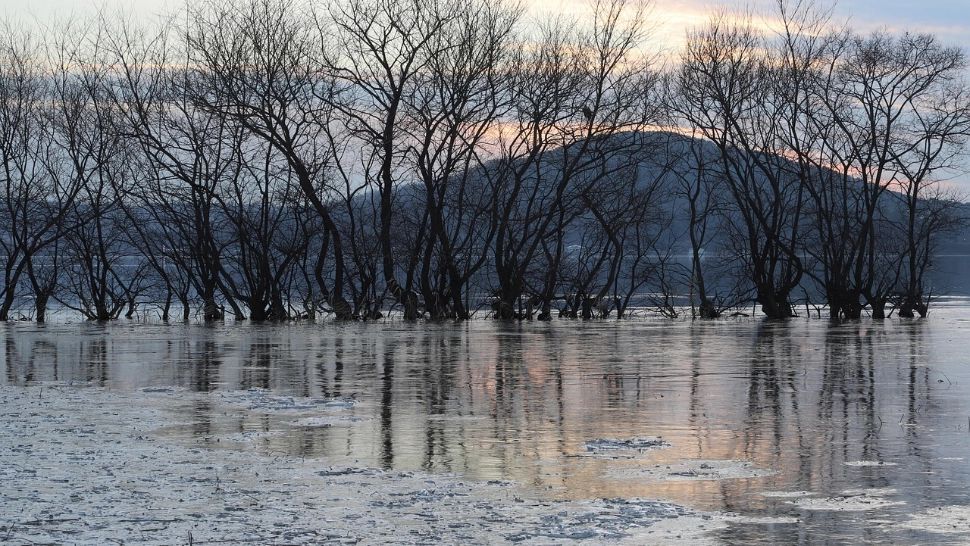 Anomalie meteo în Pacific: iarna 2025–2026 ar putea aduce surprize majore pentru Europa și România. Cât de rece va fi în acest sezon