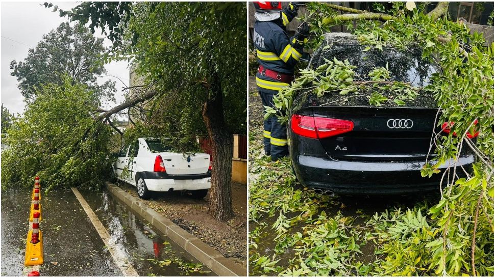Ce trebuie să faci atunci când cade un copac peste mașina ta. În ce condiții și de la cine poți primi despăgubiri