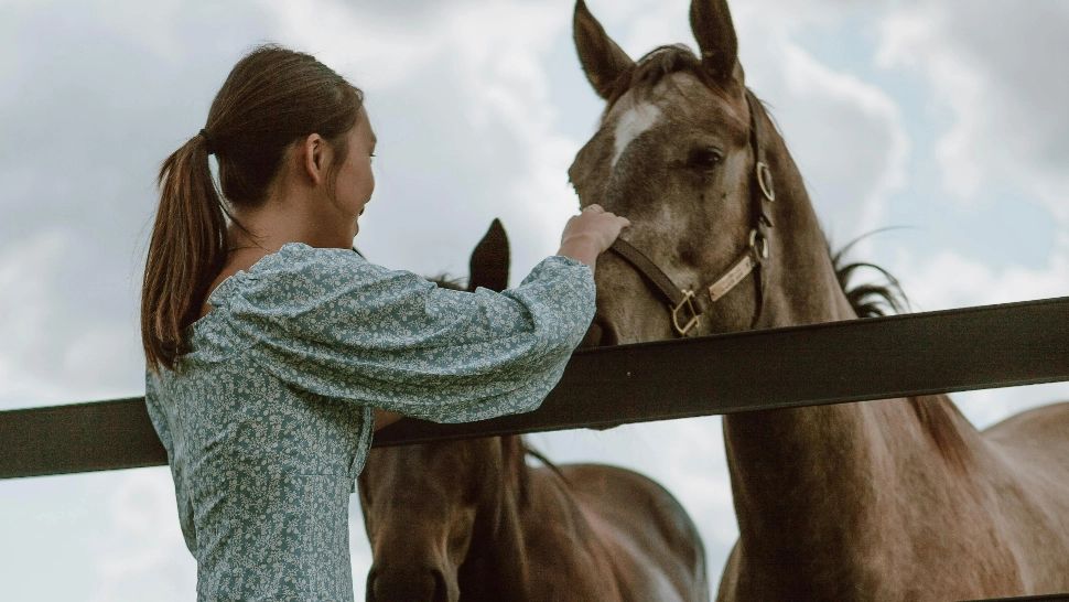 Care este animalul tău de companie ideal în funcție de zodie?
