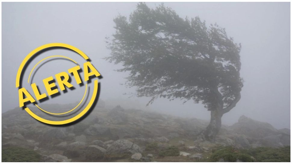 Alertă de la ANM. Cod galben de vânt puternic în patru județe din țară, luni după-amiază