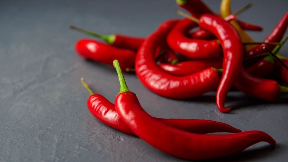 În România se găsesc cei mai iuți ardei din lume. Sunt așa de puternici încât nu pot fi atinși, cercetătorii folosesc echipament special  