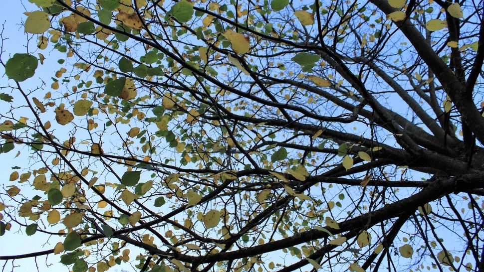 Vremea se încălzește ușor, dar diminețile rămân reci – prognoza meteo pentru 21 octombrie 2025