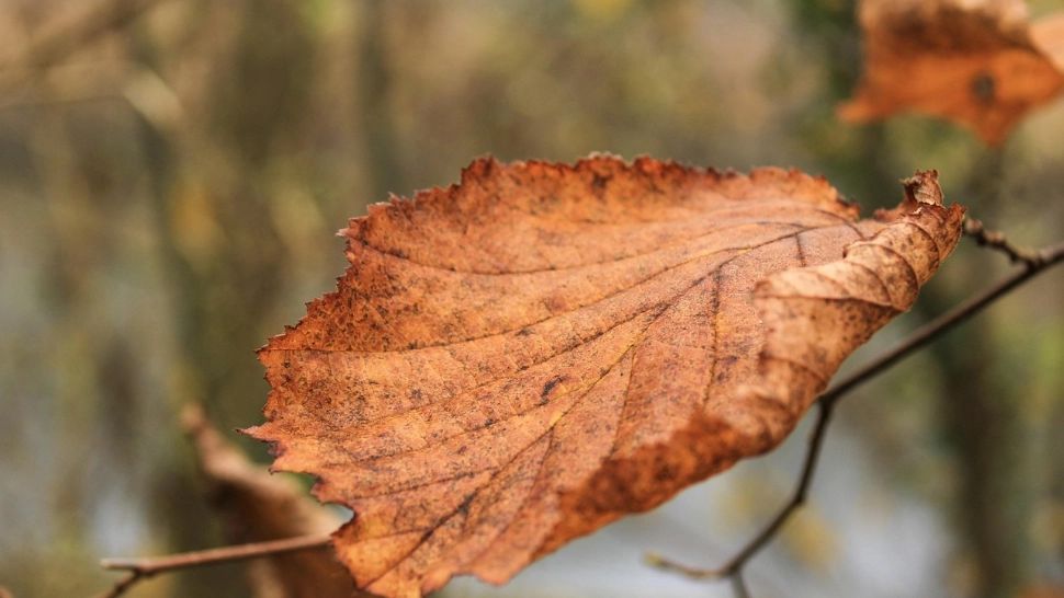 Cum va fi vremea azi, 20 octombrie 2025: temperaturile continuă să scadă, iar în unele zone minimele se apropie de pragul gerului