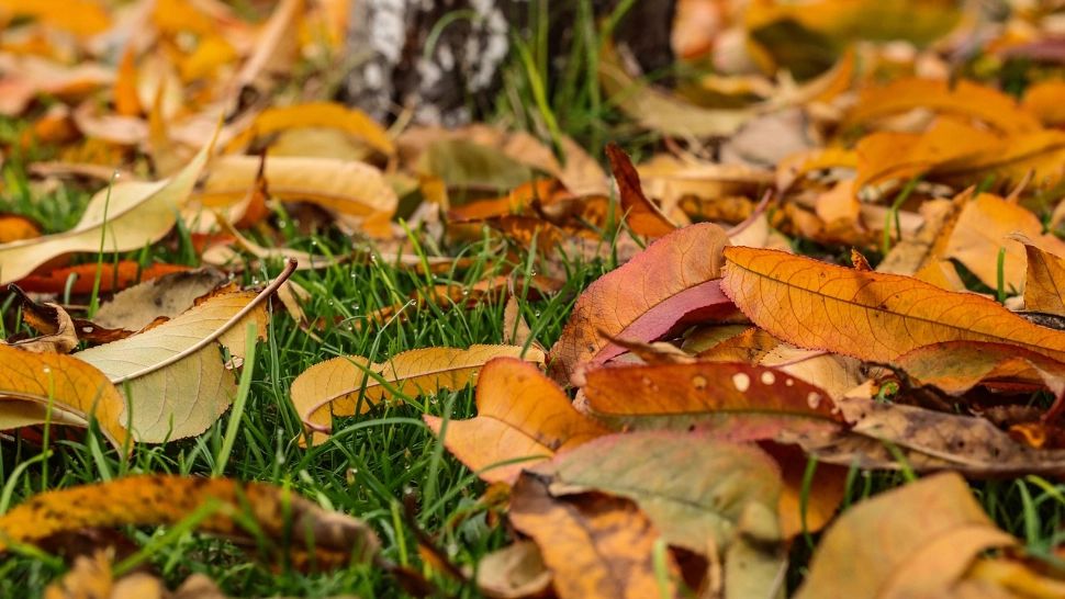 Prognoza meteo pentru duminică, 26 octombrie 2025. Vreme schimbătoare și ploi în mai multe regiuni ale țării