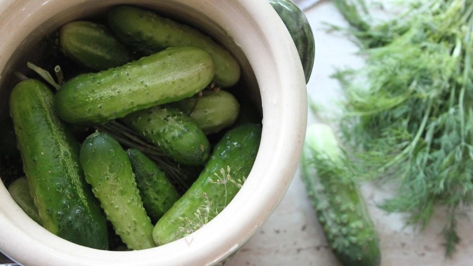 Cum păstrezi castraveții ca să rămână proaspeți Legumele și fructele lângă care este INTERZIS să fie depozitați