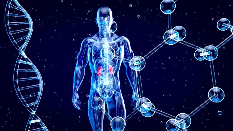 Cercetătorii au identificat fragmente de ADN extraterestru în milioane de oameni 