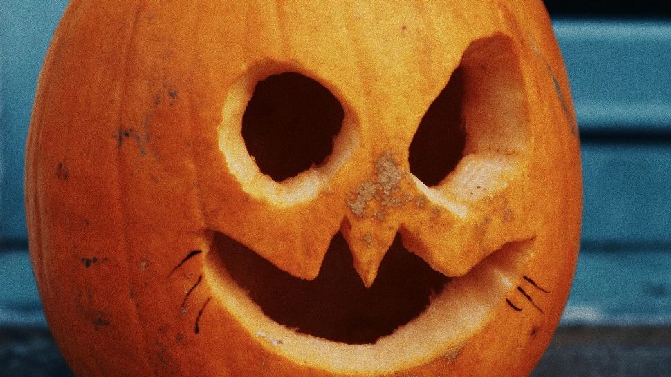 Trucurile care ajută dovlecii de Halloween să reziste mai mult timp. Ce trebuie să faci