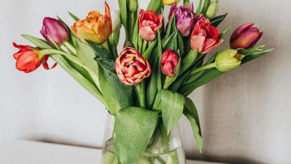 Ce trebuie să pui în apa din vază pentru a menține florile proaspete mai mult timp