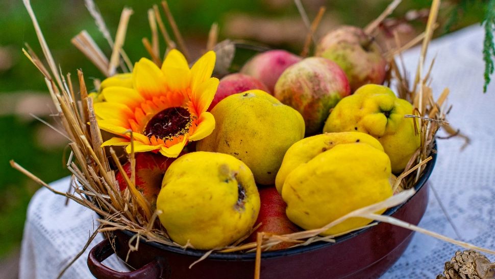 Aceste fructe de sezon sunt cele mai benefice în cazul diabeticilor. Mențin glicemia în limite normale, conform diabetologilor