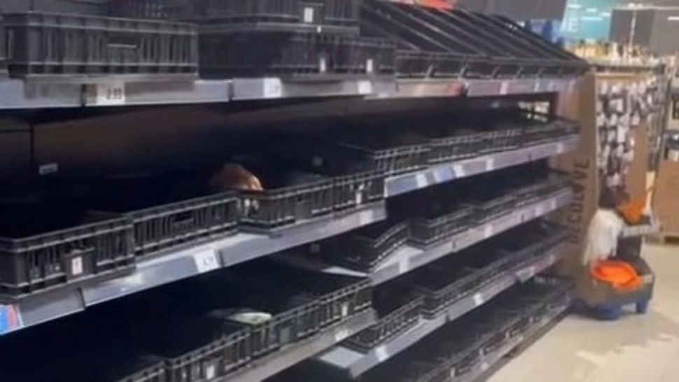 Rafturile mai multor magazine din Constanța, golite de oamenii care-și fac provizii înainte de potopul de Cod Roșu - FOTO