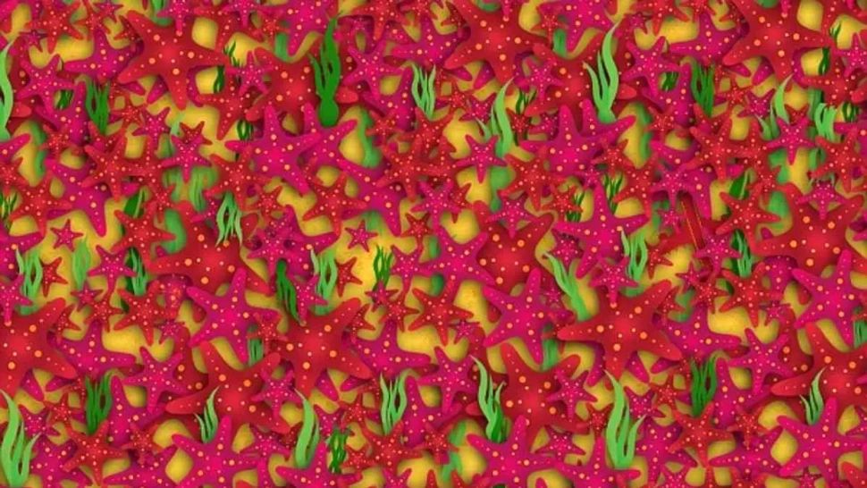 Test de inteligență vizuală: poți găsi avionul ascuns în imagine în doar 12 secunde? Doar 2% dintre oameni reușesc!