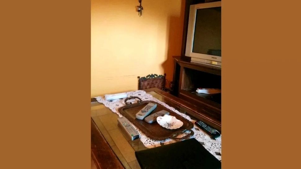 Testul vizual care face diferența între o minte obișnuită și un geniu: poți găsi pisica în doar 7 secunde?