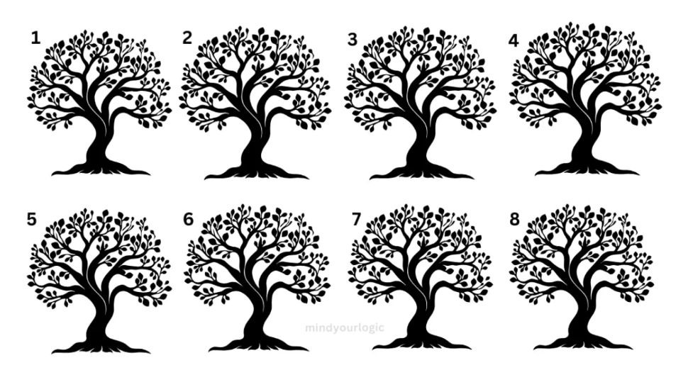 Test IQ pentru cei mai deștepți: doar cei cu IQ peste 140 și „vedere de șoim” găsesc copacul ciudat în 11 secunde
