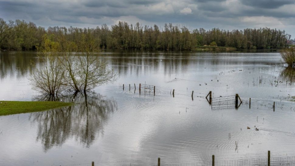  Ministrul Energiei mobilizează Comandamentul Energetic pentru criză, ca răspuns la vremea extremă care pune România în primejdie 