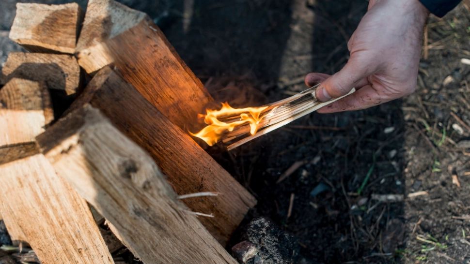 Prețurile la lemnul de foc în 2025. Cu cât dă Romsilva metru cub