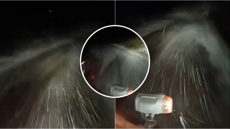 Mare atenție, șoferi. Ninsori abundente pe DN 7A, în zona Obârşia Lotrului. Recomandările drumarilor -VIDEO