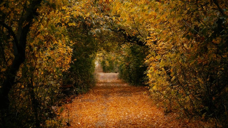 Pe data de 10 octombrie se deschide Portalul tuturor POSIBILITĂȚILOR! Ce trebuie să faci în această zi pentru a ți se îndeplini dorințele