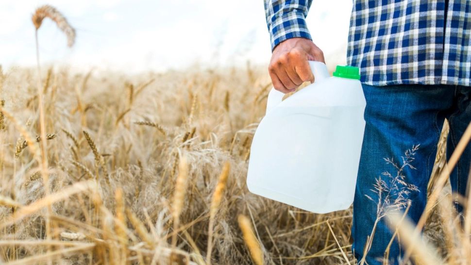 Lege împotriva otrăvurilor din farfurie. Guvernul adoptă măsuri noi împotriva utilizării pesticidelor