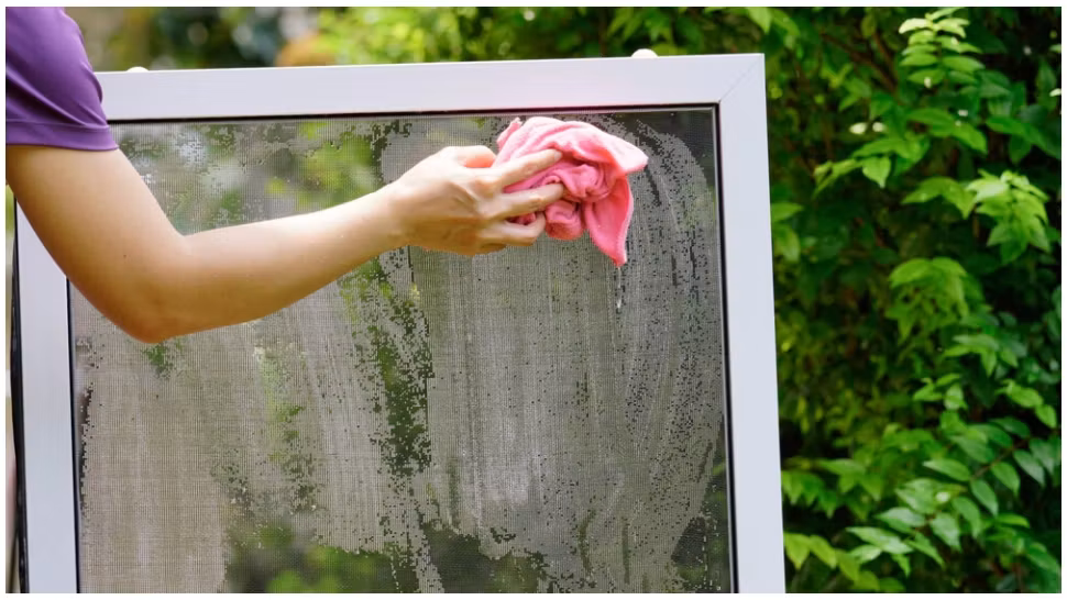 Cum scapi de grăsimea de pe plasele de la geam. Trucurile simple și ieftine pe care gospodinele iscusite le folosesc